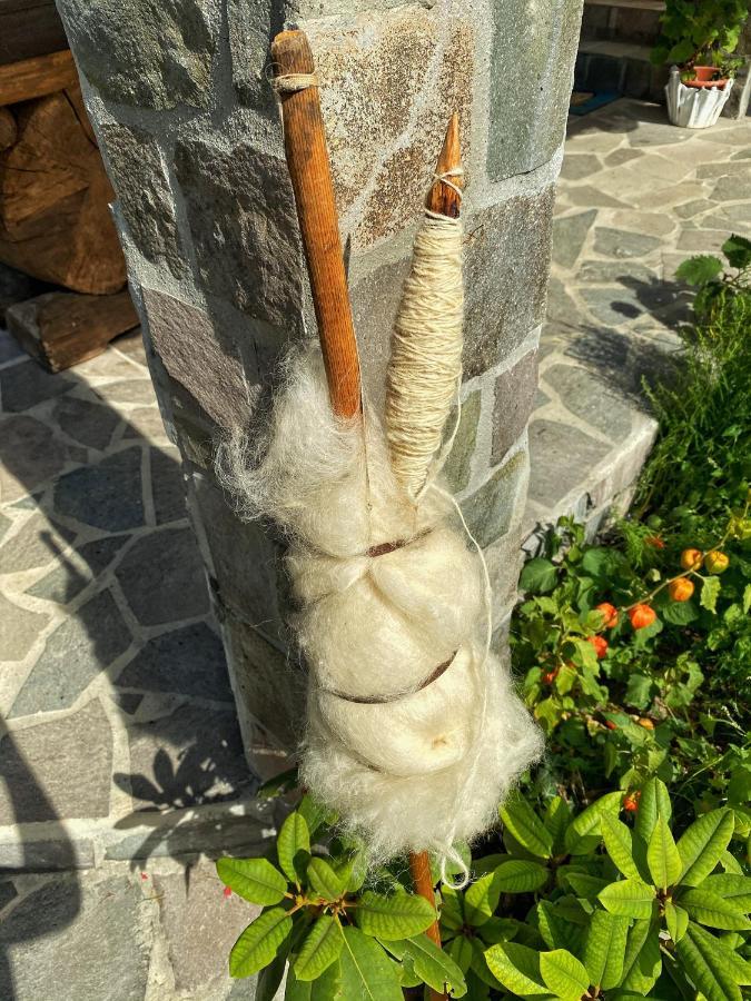 בורסא Vila Sorina מראה חיצוני תמונה