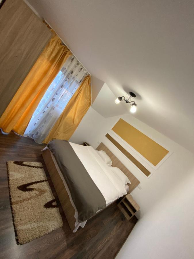 בורסא Vila Sorina מראה חיצוני תמונה